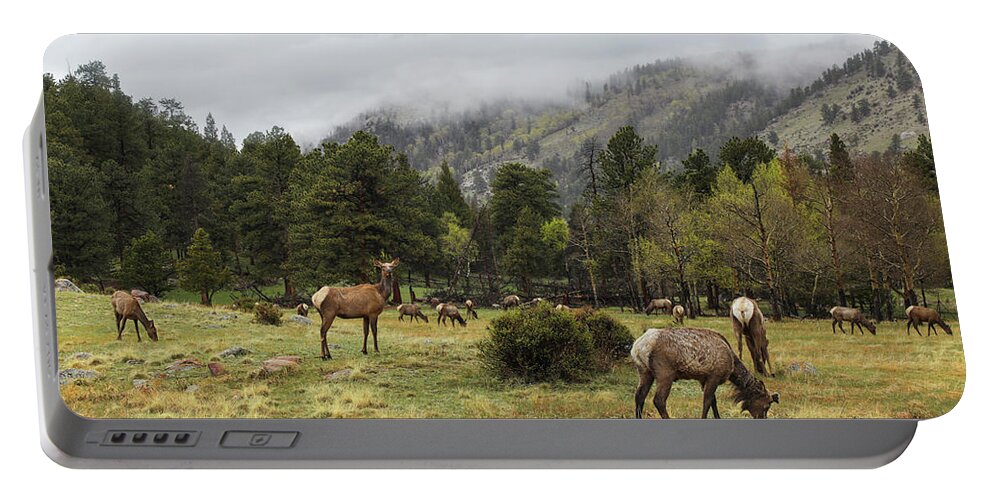 Elk Portable Battery Charger featuring the photograph Elk Herd by Lorraine Baum