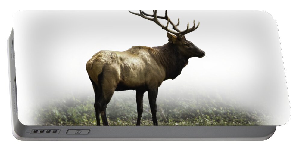 Elk Portable Battery Charger featuring the photograph Elk III by Debra and Dave Vanderlaan