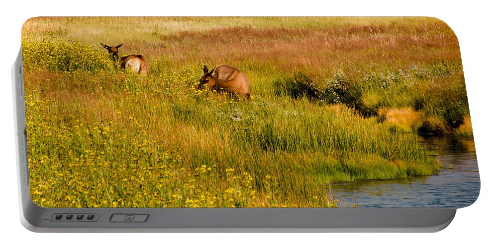 Elk Portable Battery Charger featuring the photograph Elk in the Wild Flowers by Cathy Donohoue