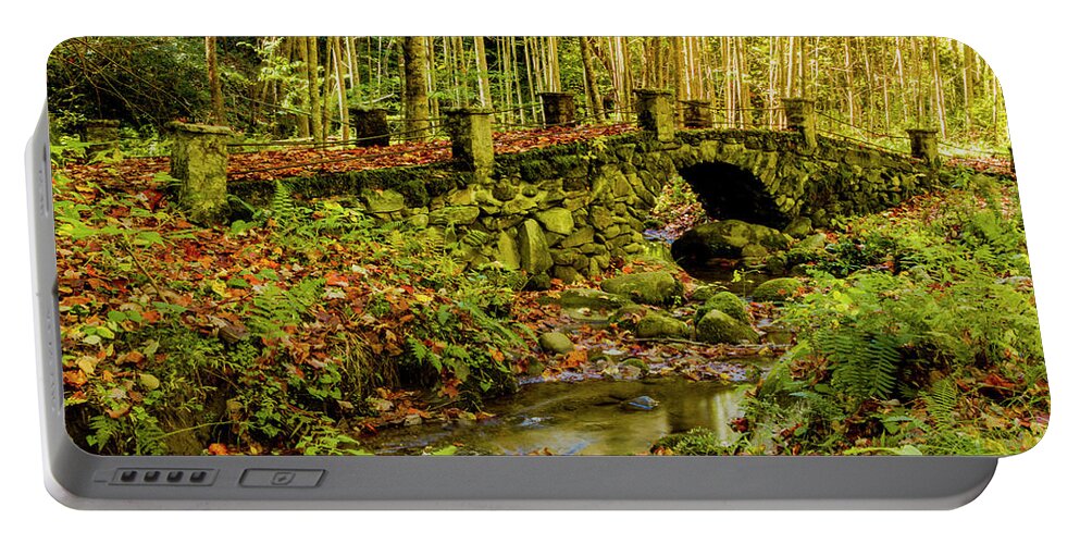 Great Smoky Mountains Portable Battery Charger featuring the photograph Elkmount Troll Bridge in the Smokie Mountains by Teri Virbickis