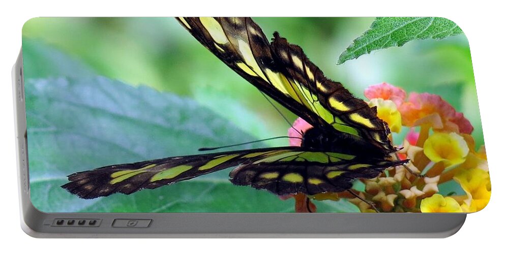 Butterfly Portable Battery Charger featuring the photograph Elusive Butterfly by Betty Buller Whitehead