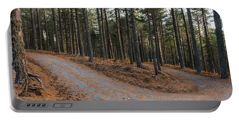 Forest Landscape Portable Battery Charger featuring the photograph Empty road passing through the forest in Autumn by Michalakis Ppalis