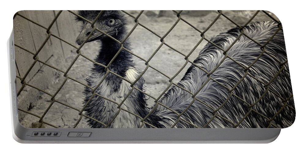 Emu Portable Battery Charger featuring the photograph Emu at the Zoo by Luke Moore