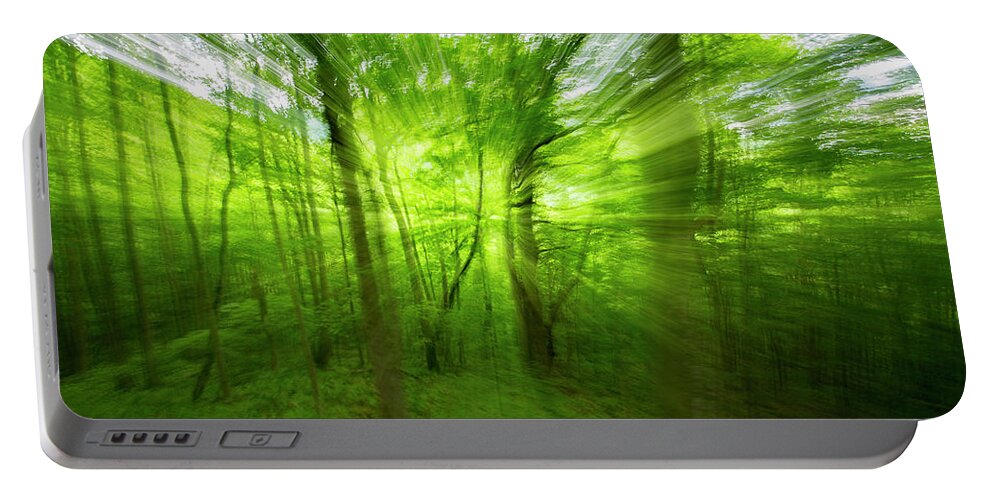 Landscape Portable Battery Charger featuring the photograph Enchanted Forest 1 by Frederic A Reinecke