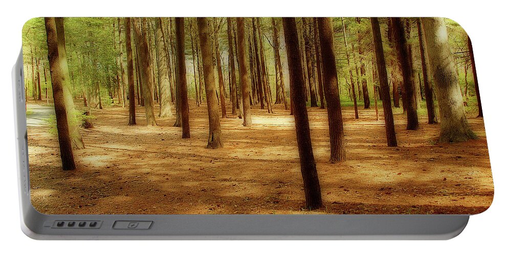Forest Portable Battery Charger featuring the photograph Enchanted Forest by Cathy Kovarik