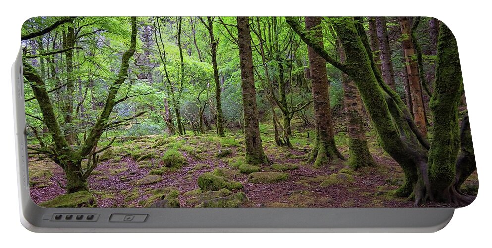 Green Portable Battery Charger featuring the photograph Enchanted Woods - 2017 Christopher Buff, www.Aviationbuff.com by Chris Buff