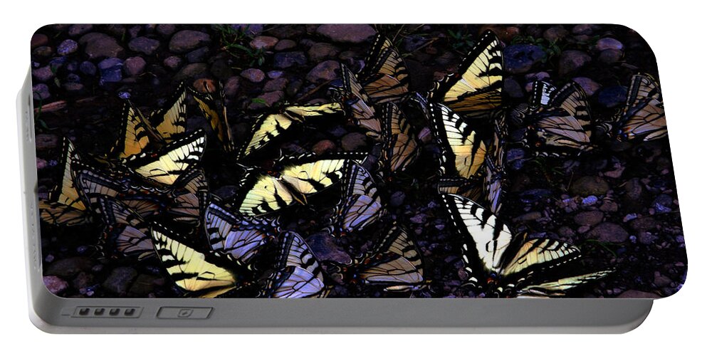 Black Portable Battery Charger featuring the digital art Enchantment by Danielle R T Haney