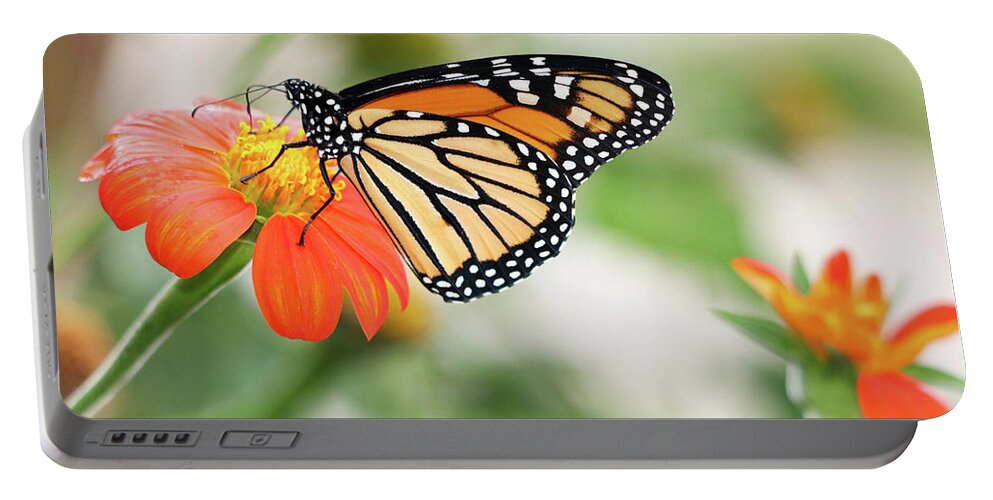 Butterfly Portable Battery Charger featuring the photograph End of Summer Flight by Mary Anne Delgado