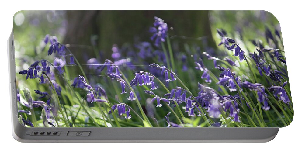 English Bluebells In The Sunshine Surrey Uk Portable Battery Charger featuring the photograph English Bluebells by Julia Gavin