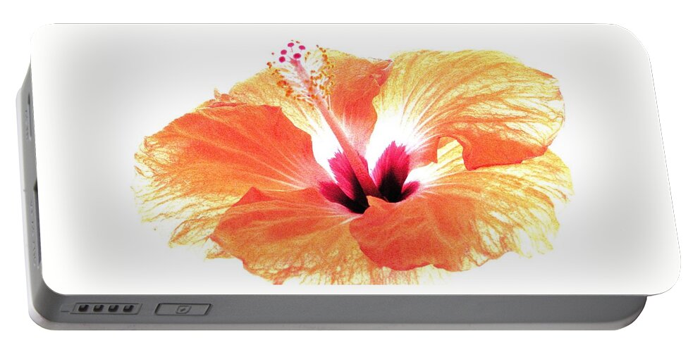 Orange Hibiscus Portable Battery Charger featuring the photograph Enlightened by Angela Davies