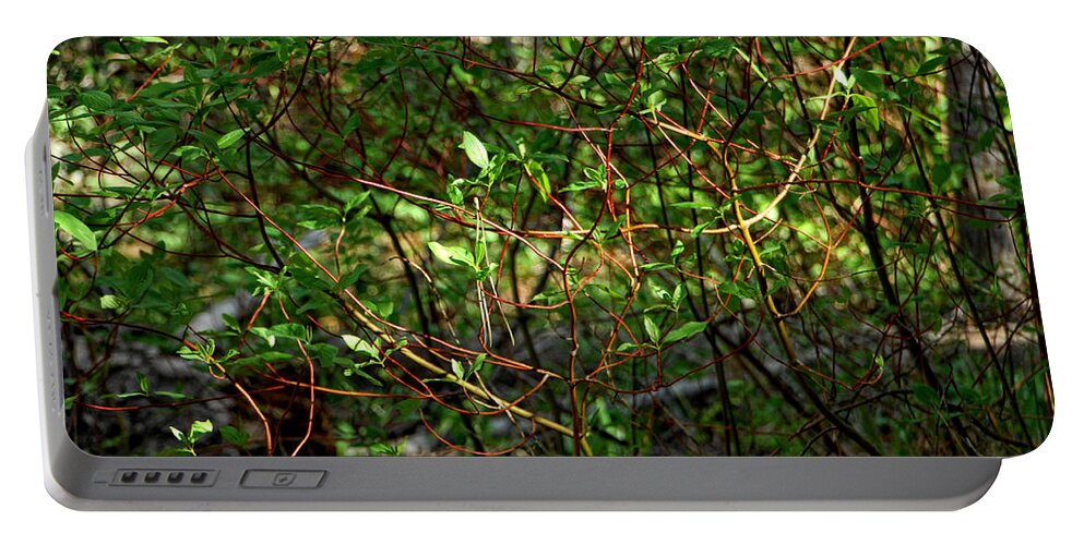 Forest Portable Battery Charger featuring the photograph Entangled by Donna Blackhall
