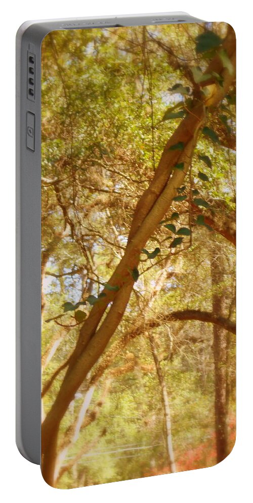 Branches Portable Battery Charger featuring the photograph Entwined by Paul Wilford