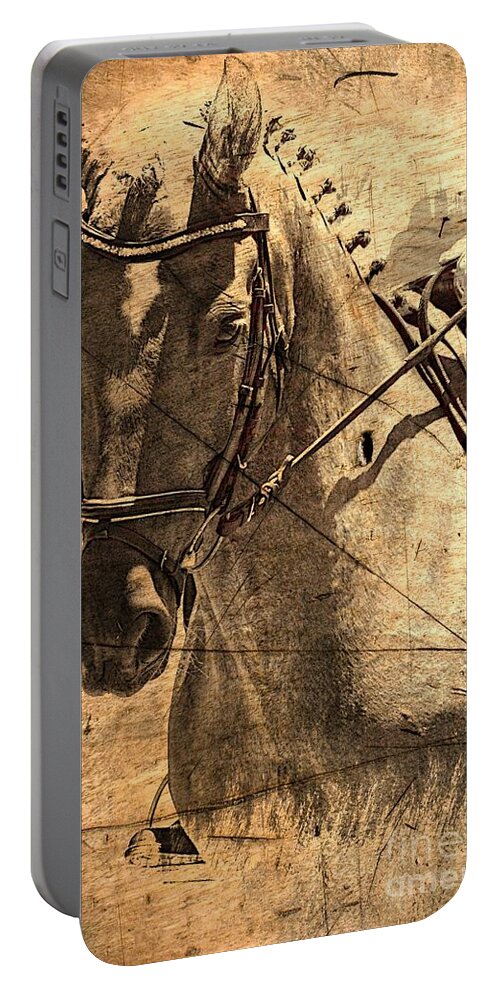 Horse Portable Battery Charger featuring the photograph Equestrian by Clare Bevan