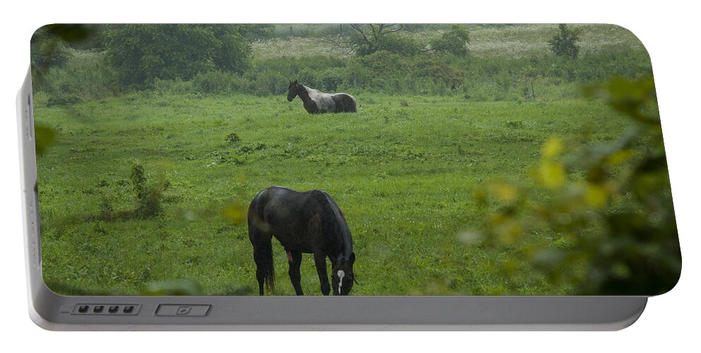 Agriculture Portable Battery Charger featuring the photograph Equine buddies by Brian Green