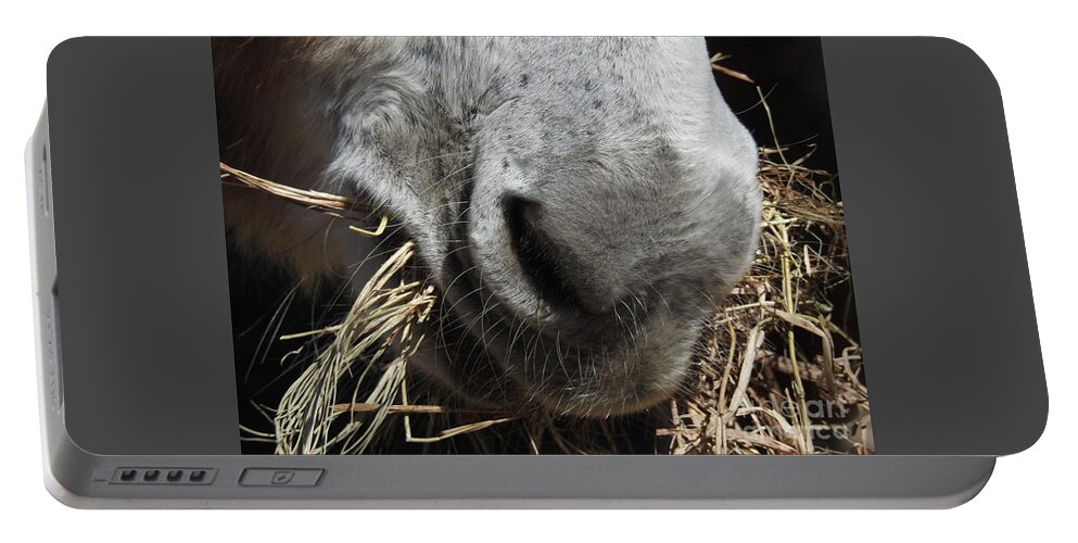 Donkey Portable Battery Charger featuring the photograph Equine Cuisine by Jan Gelders