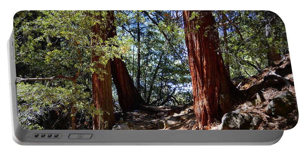Ernie Maxwell Scenic Trail - Idyllwild Portable Battery Charger by Glenn  McCarthy Art and Photography - Fine Art America