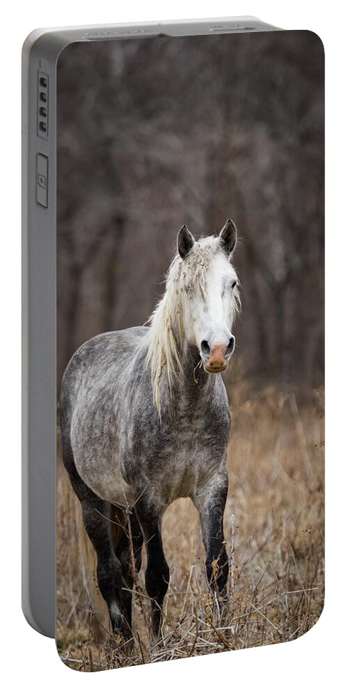 Horse Portable Battery Charger featuring the photograph Escape by Holly Ross