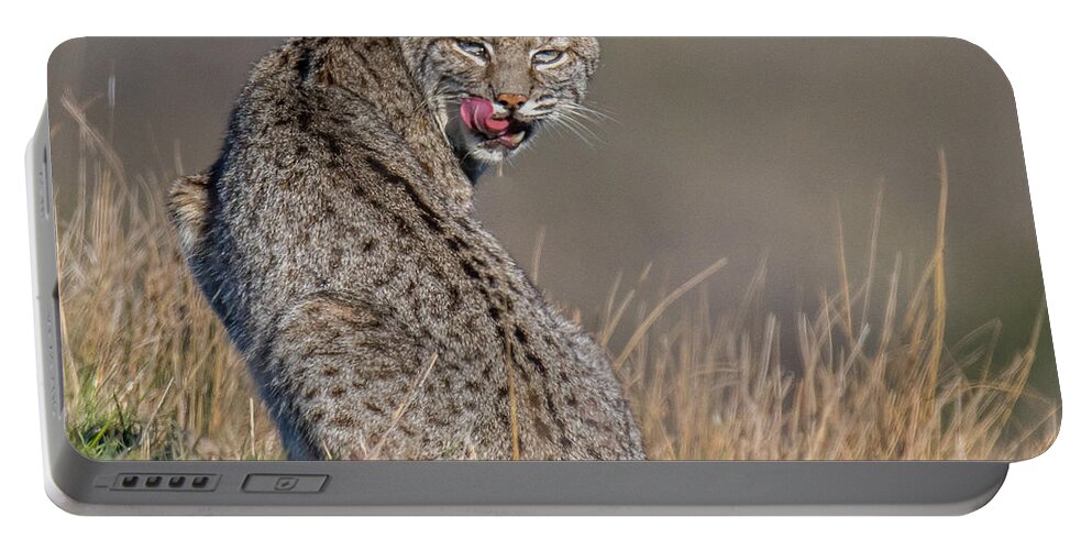 Pt Reyes Portable Battery Charger featuring the photograph Estero Loner by Kevin Dietrich