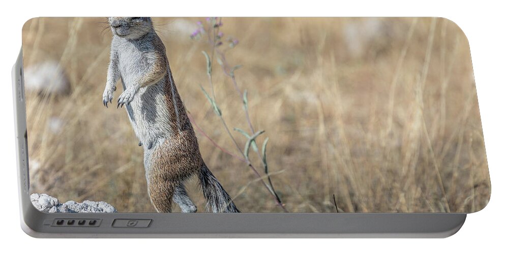 Meerkat Portable Battery Charger featuring the photograph Etosha - Namibia by Joana Kruse
