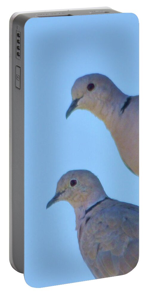 Orcinus Fotograffy Portable Battery Charger featuring the photograph Eurasian Collar Doves by Kimo Fernandez