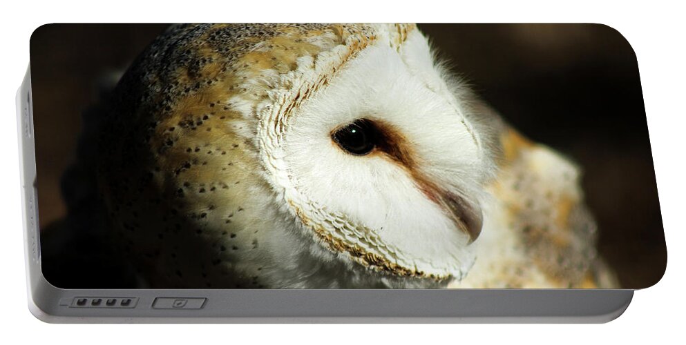 Owl Portable Battery Charger featuring the photograph European Barn Owl by Holly Ross