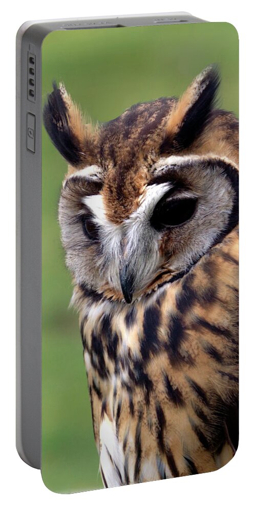 Owl Portable Battery Charger featuring the photograph Eurasian Striped Owl by Stephen Melia