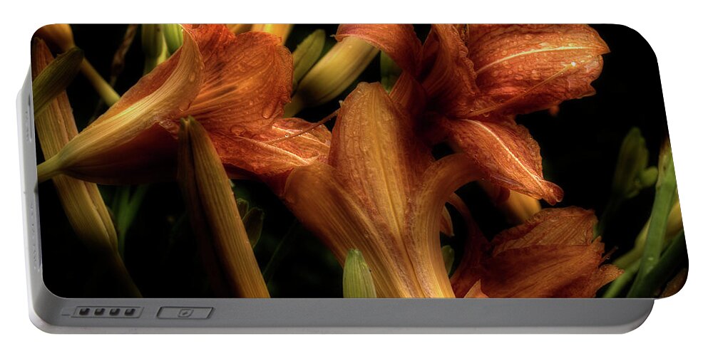 Lilies Portable Battery Charger featuring the photograph Evening Lilies by Mike Eingle