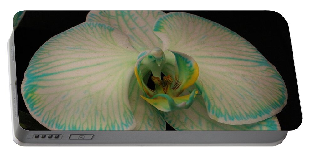 Orchid Portable Battery Charger featuring the photograph Orchid in White and Turquoise by Dora Sofia Caputo