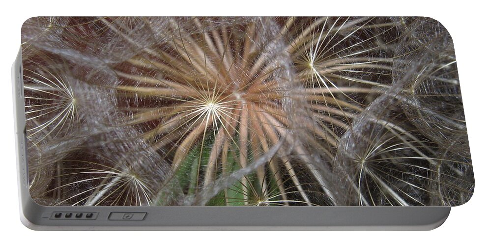 Dandelion Portable Battery Charger featuring the photograph Experience the Dandelion by Marie Neder