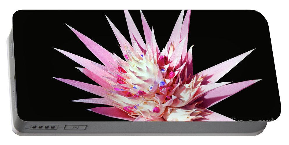 Digital Portable Battery Charger featuring the digital art Expressive Bromeliad E3517 by Mas Art Studio