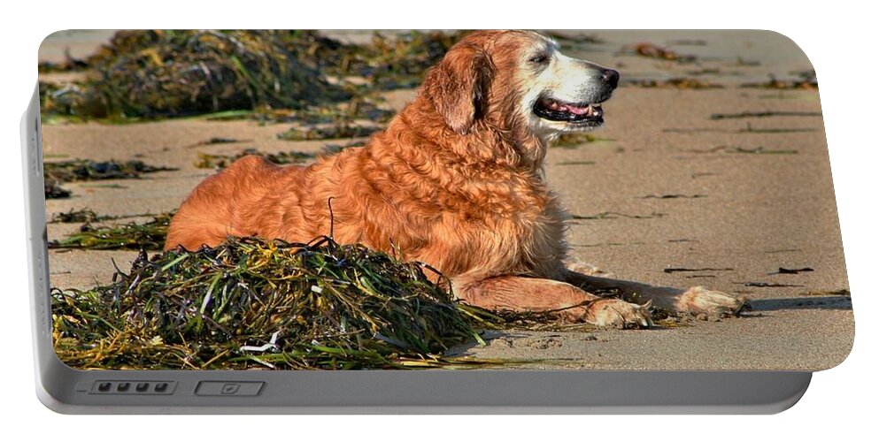Dog Portable Battery Charger featuring the photograph Extended Summer by Barbara S Nickerson