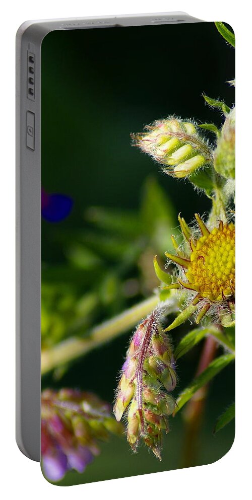 Flowers Portable Battery Charger featuring the photograph Eye Candy from the Garden by Ben Upham III