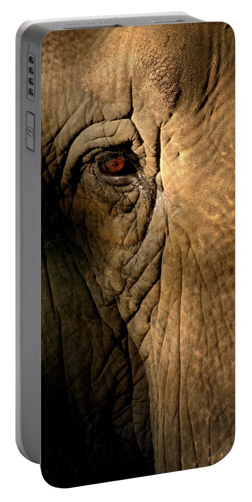 Elephant Portable Battery Charger featuring the photograph Eye of the Elephant by Greg and Chrystal Mimbs