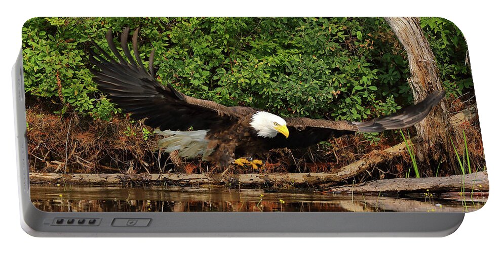 Eagle Portable Battery Charger featuring the photograph Eye on the Fish by Duane Cross