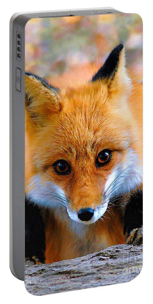 Eye To Eye Portable Battery Charger featuring the photograph Face To Face II by Adam Olsen