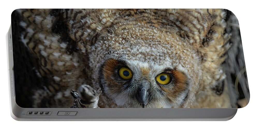 Great Horned Owl Fledgling-close Up-wide Bright Yellow Eyes- Wings Part Flare- Owl Bird- Close Up Of Owl- Great Horned Owl Fledged-(art-photography Images By Rae Ann M. Garrett- Raeann Garrett) Portable Battery Charger featuring the photograph Eyes into the soul by Rae Ann M Garrett
