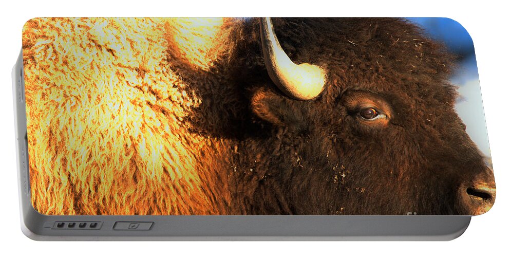 Bison Portable Battery Charger featuring the photograph Eyes Of The Bison Spring 2018 by Adam Jewell