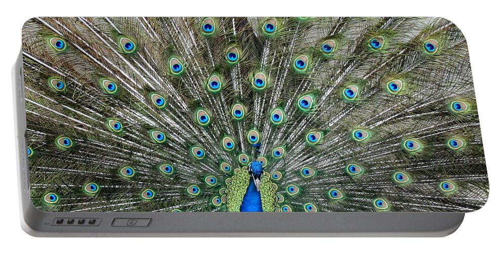 Peacock Portable Battery Charger featuring the photograph Eyes See You by George Jones