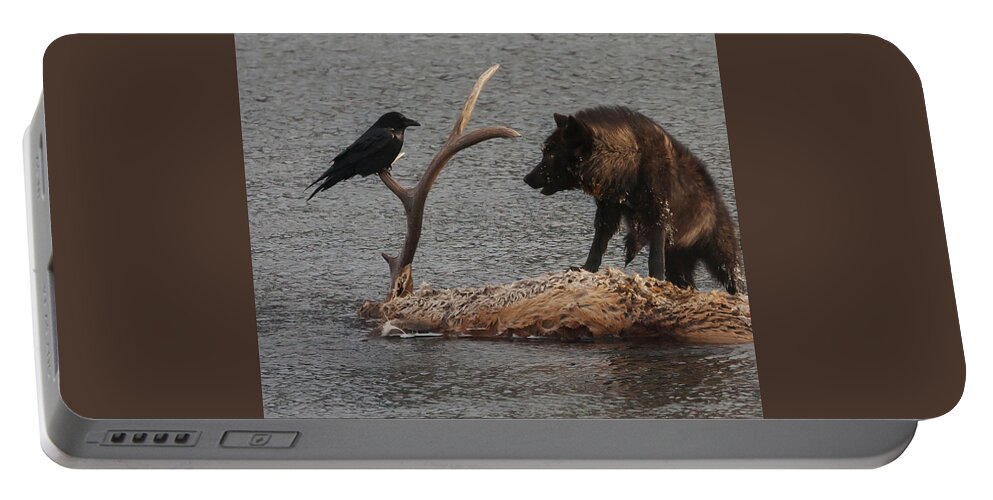 Mark Miller Photos Portable Battery Charger featuring the photograph Face to Face Wolf and Raven by Mark Miller