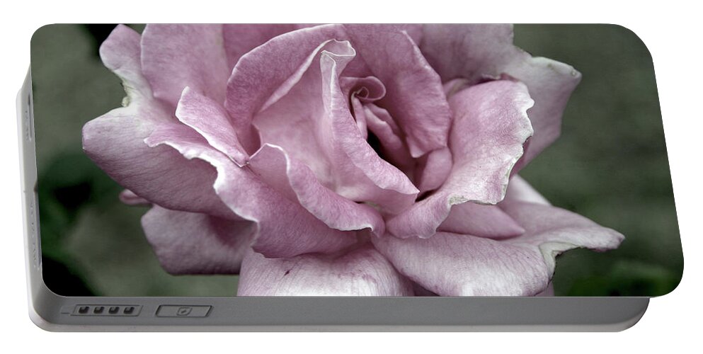 Rose Portable Battery Charger featuring the photograph Faded Beauty Rose 0226 H_2 by Steven Ward