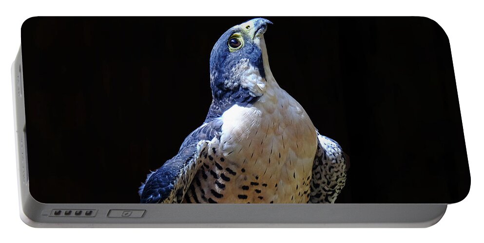 Peregrine Falcon Portable Battery Charger featuring the photograph Peregrine Falcon by Ronda Ryan