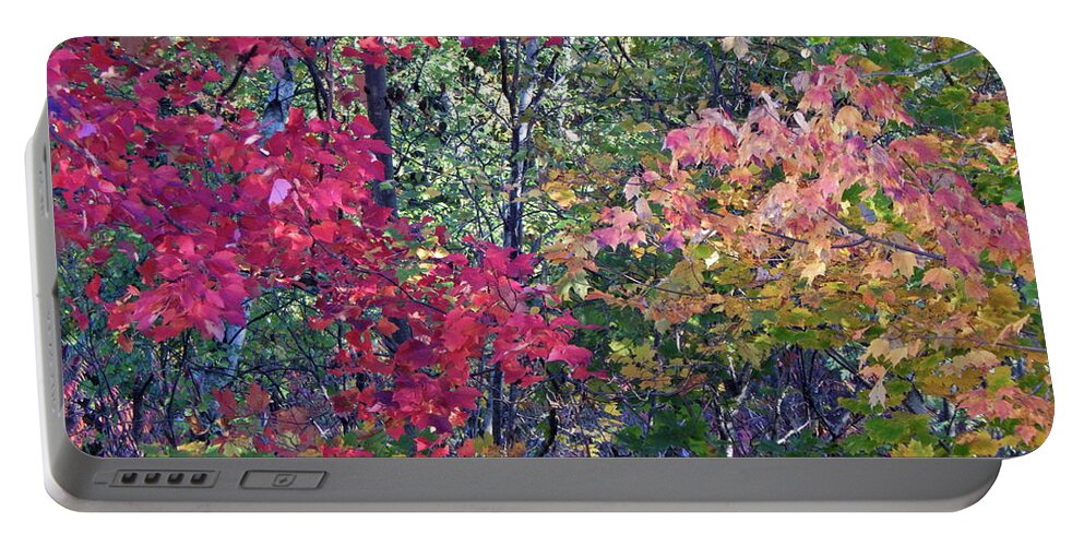 Landscape Portable Battery Charger featuring the photograph Fall 2016 2 by George Ramos
