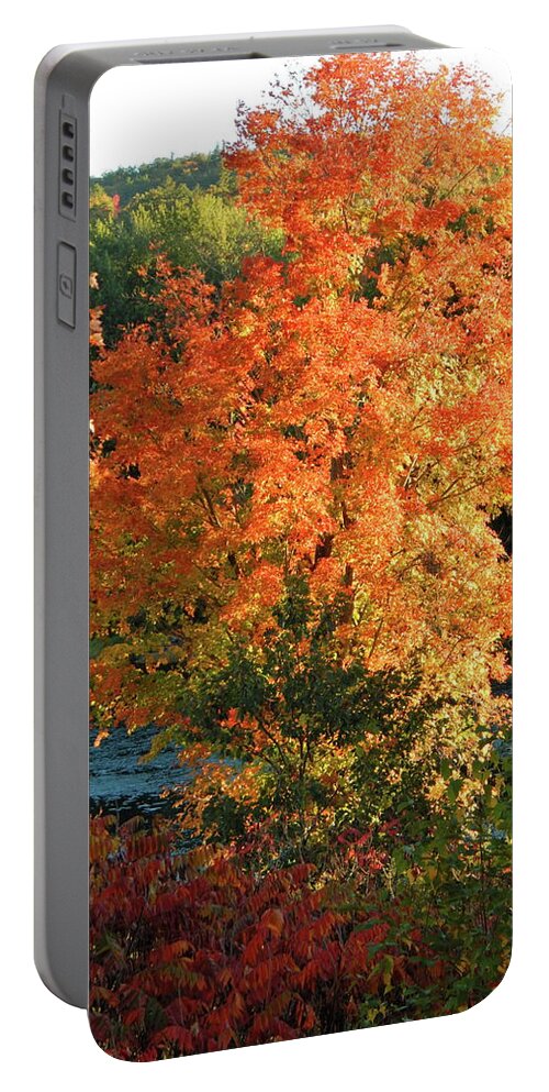 Landscape Portable Battery Charger featuring the photograph Fall 2016 4 by George Ramos