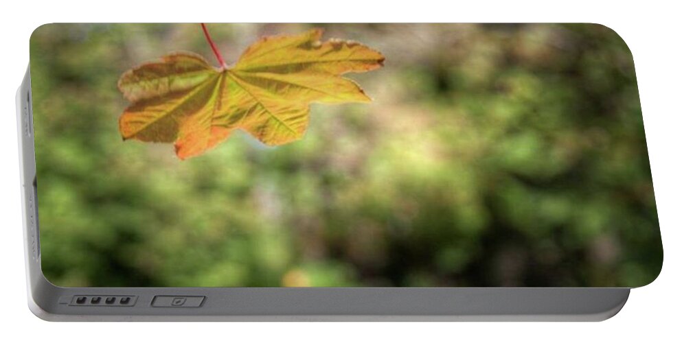 Washington Portable Battery Charger featuring the photograph #fall #autumn #leaf #pnwonderland #pnw by Jerry Renville
