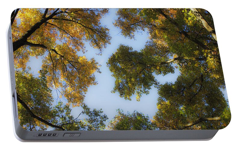 Fall Portable Battery Charger featuring the photograph Fall Canopy in Virginia by Teresa Mucha