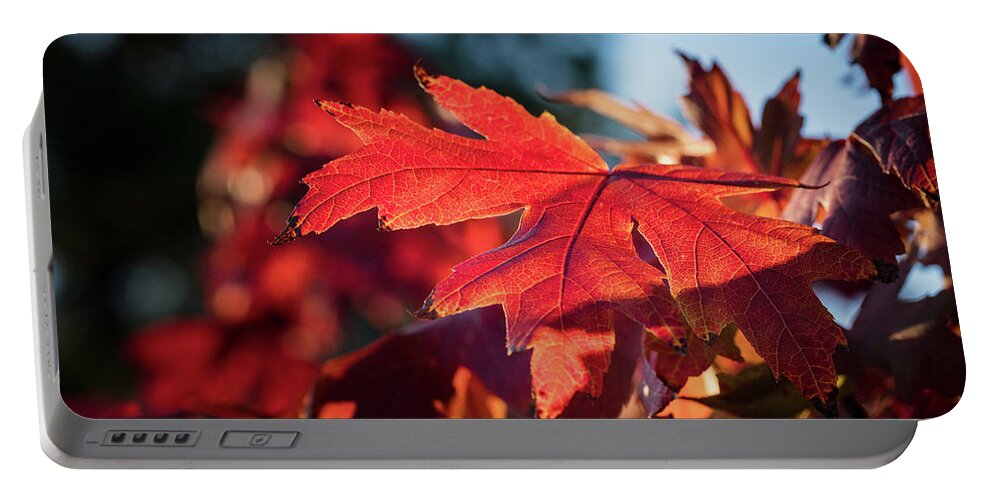 Scenic Portable Battery Charger featuring the photograph Fall Color 5528 23 by M K Miller