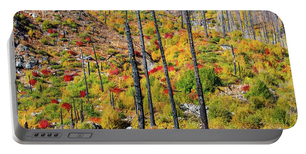 Landscape Portable Battery Charger featuring the photograph Fall color -after wild fire by Hisao Mogi