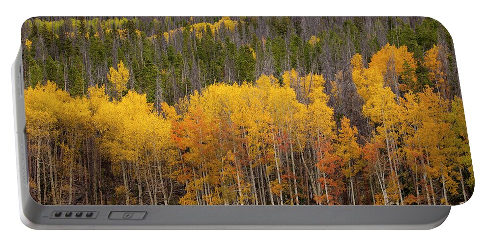 Aspens Portable Battery Charger featuring the photograph Fall Color by Timothy Johnson