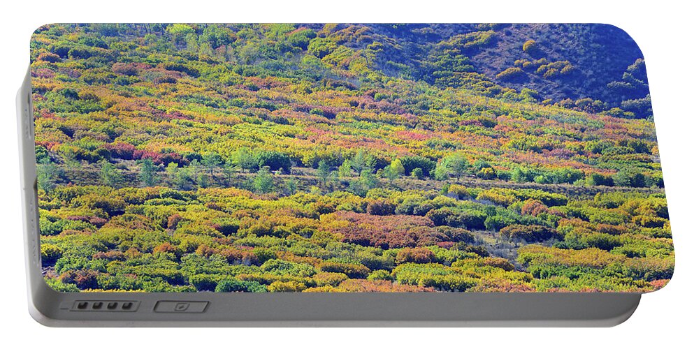 Colorado Portable Battery Charger featuring the photograph Fall Colors on the Foothills of Glenwood Spring by Ray Mathis