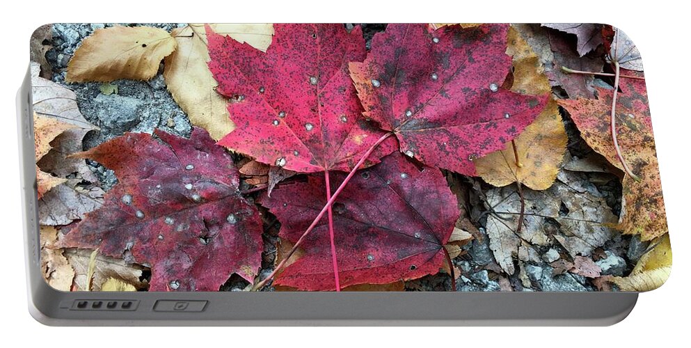 Fall Colors Portable Battery Charger featuring the photograph Fall Colors by Robert J Wagner